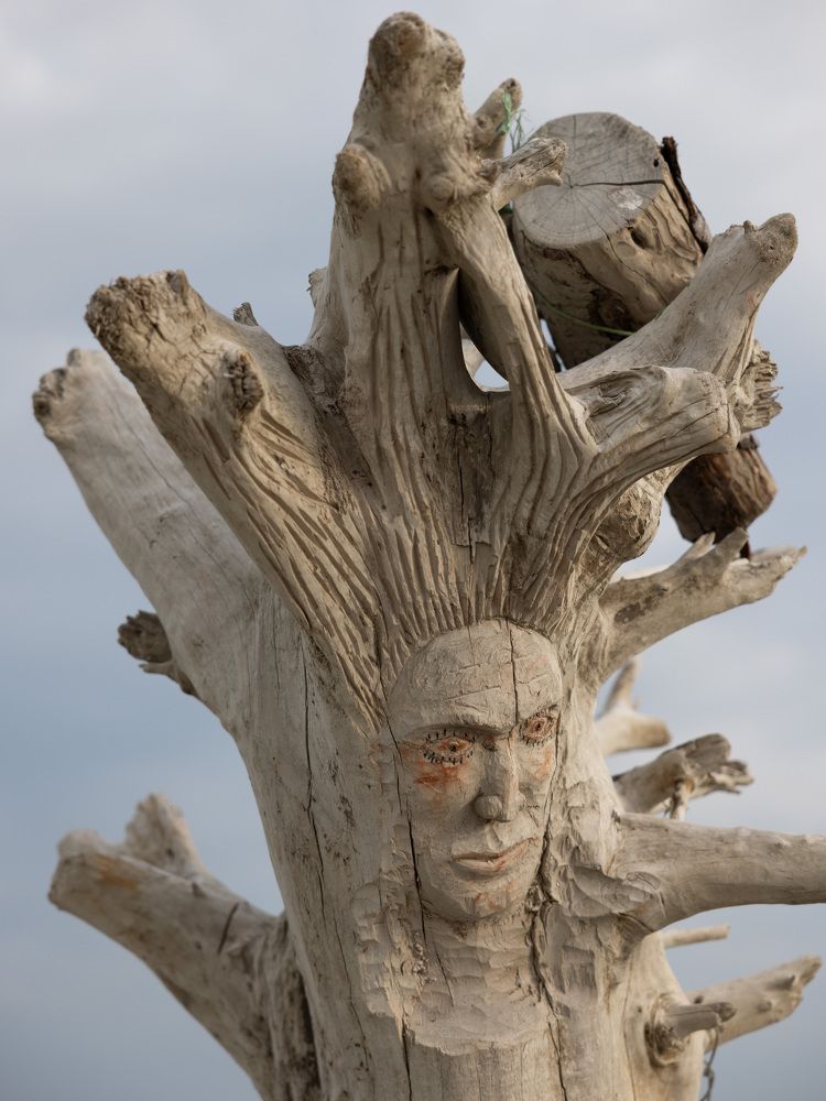 Photograph by Maxim Voronov