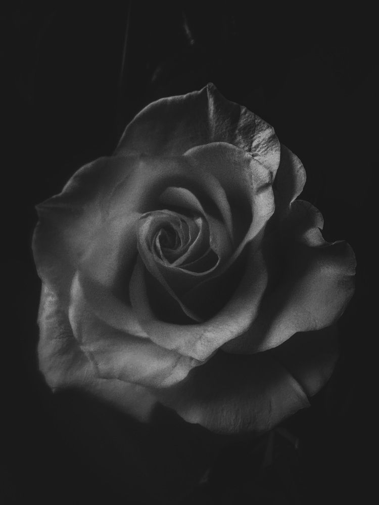 Photograph by Жанар Джумабекова