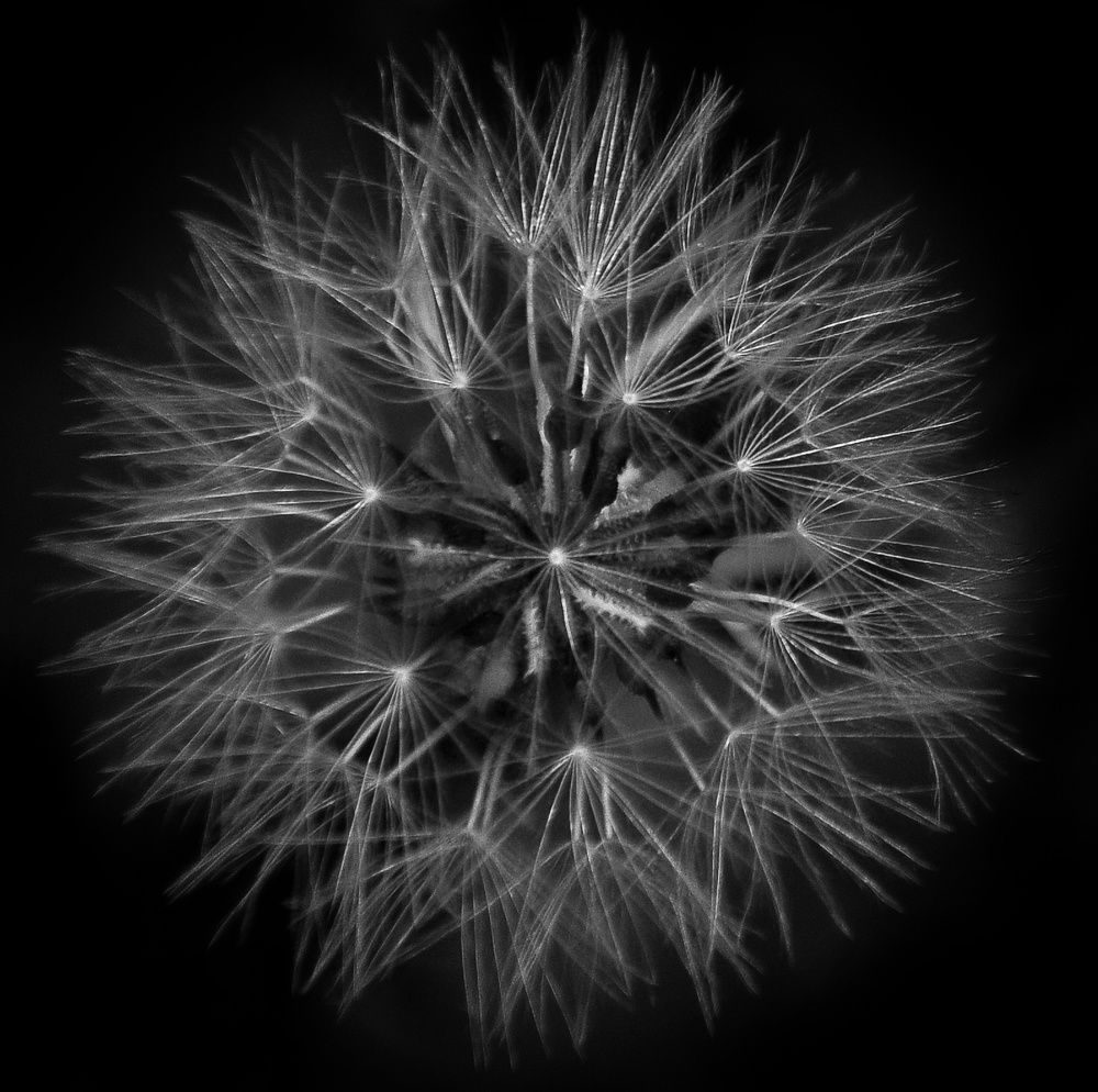 Photograph by Alessia Carta
