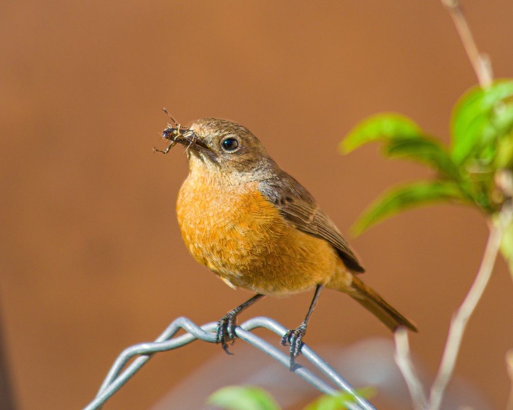 Photograph by Bachir Rabouh