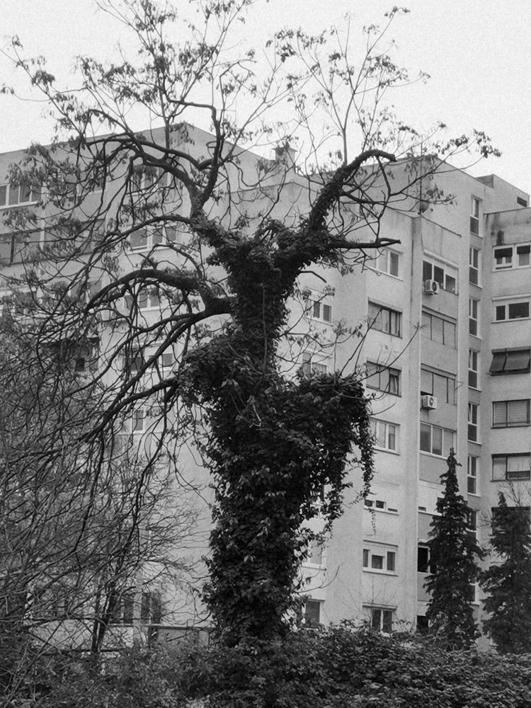 Photograph by Jan Klasinc