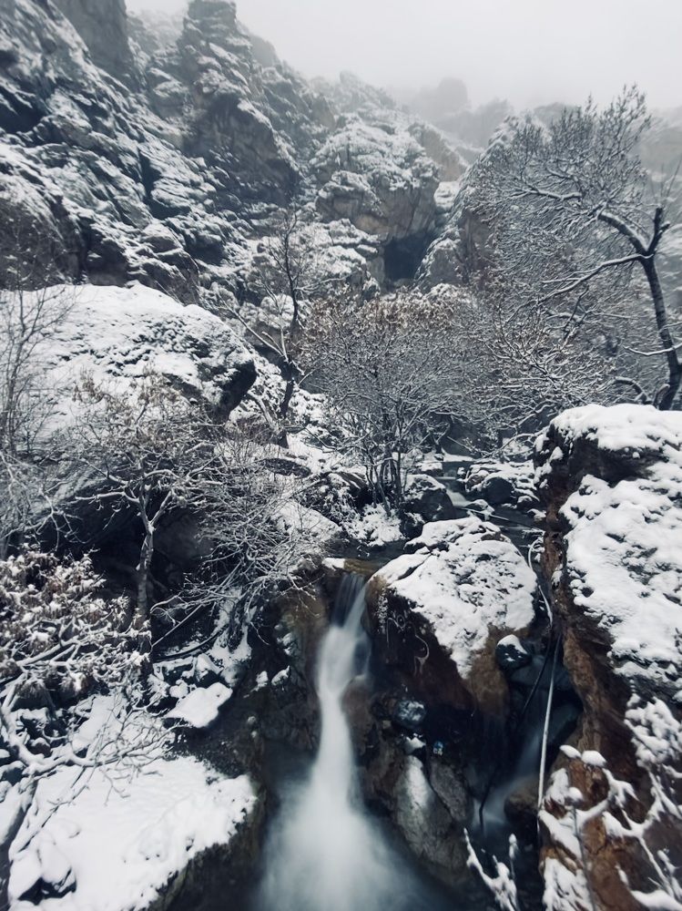 Photograph by rsdebsa1@gmail.com