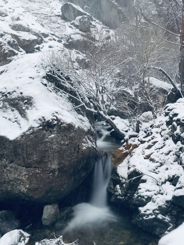 Photograph by rsdebsa1@gmail.com