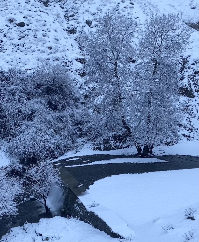 Photograph by rsdebsa1@gmail.com