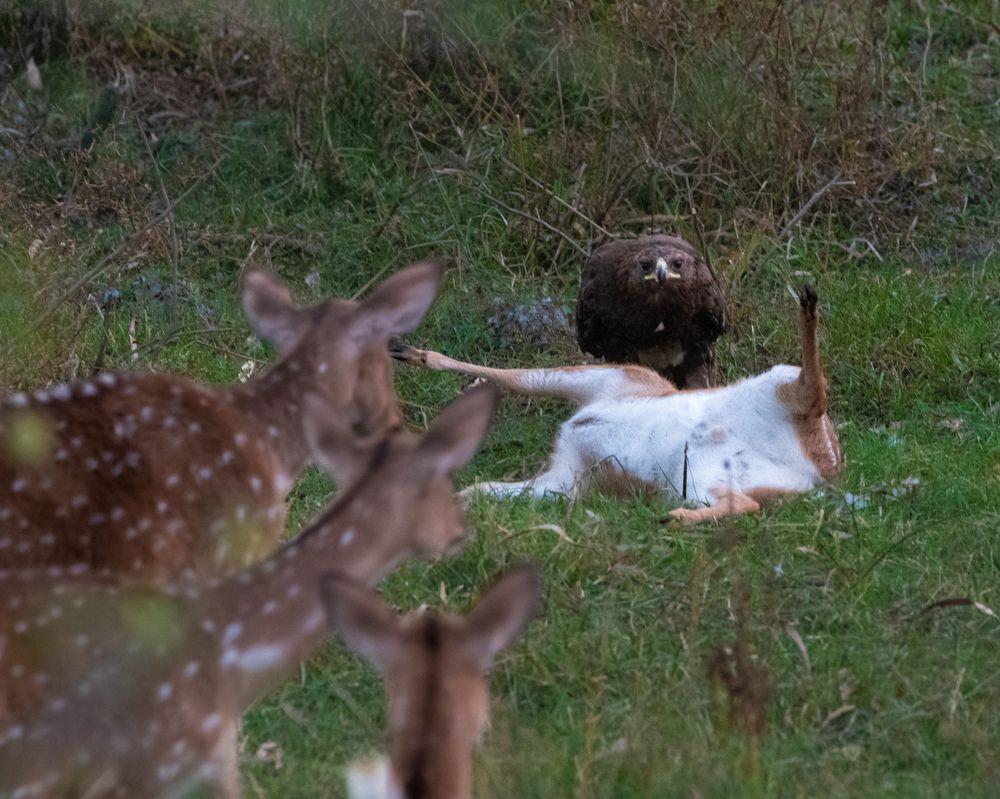 Photograph by Nandhakumar Velumani