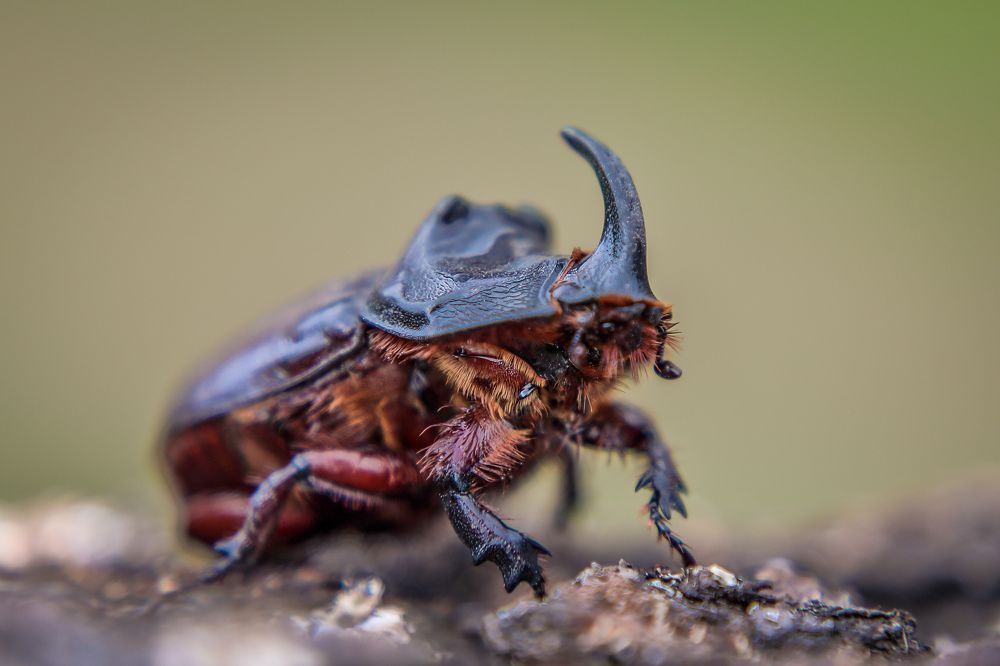 Photograph by Юрий Фефилов