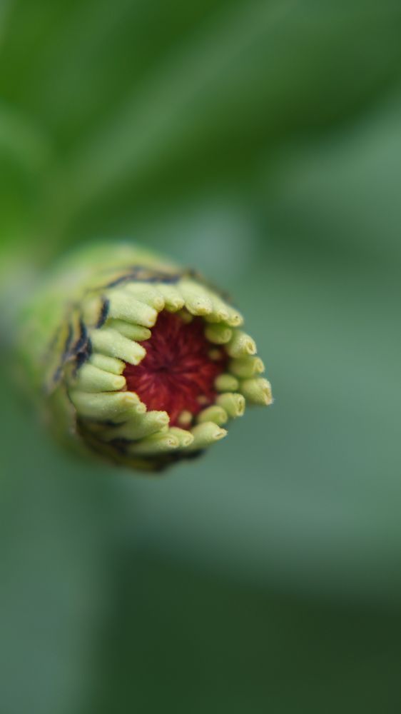 Photograph by Яна Истоцкая