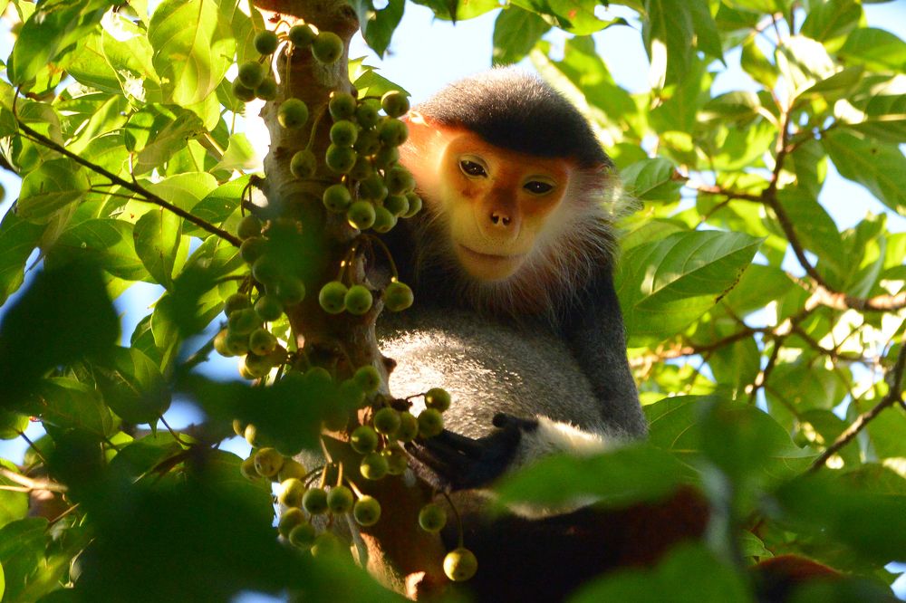 Photograph by Hà Thạnh