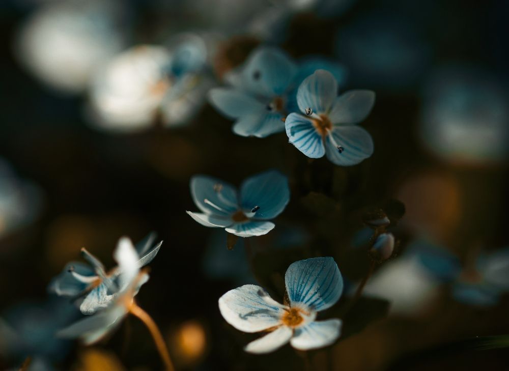 Photograph by Ольга Попова