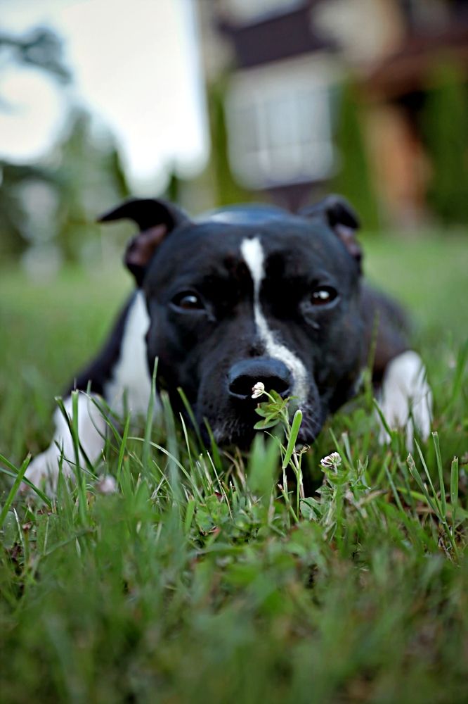 Photograph by Сергей Колышев