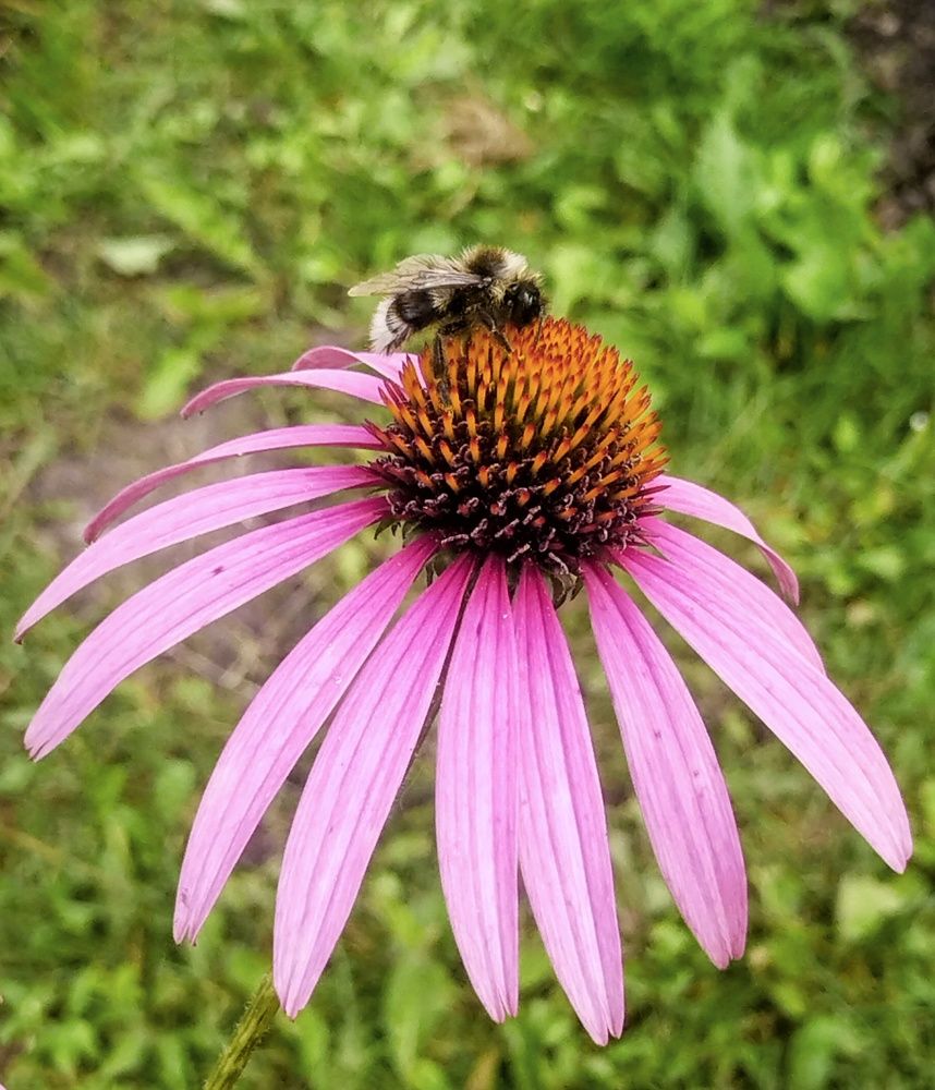 Photograph by Sergey Kurkov-Tarkovsky