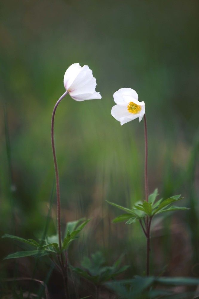 Photograph by Павел Гавриков