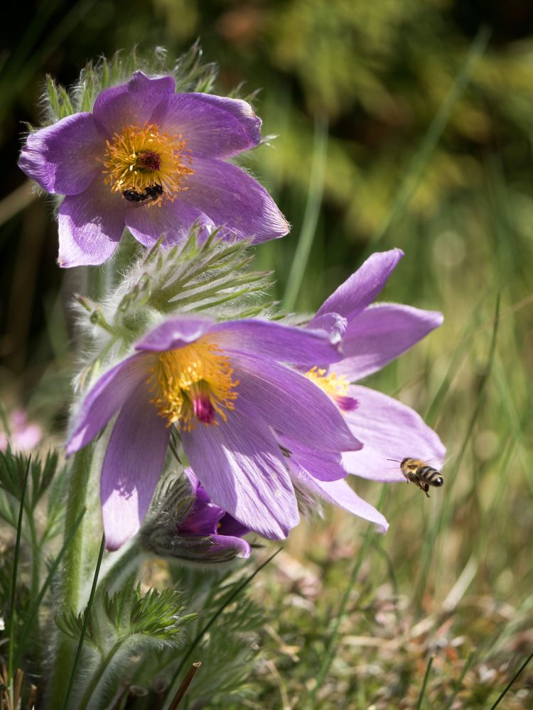 Photograph by Руслан Гончар