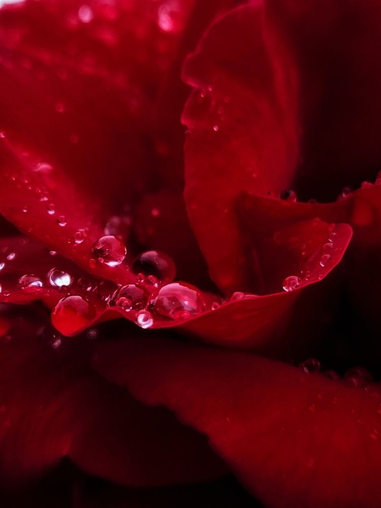 Photograph by Алина