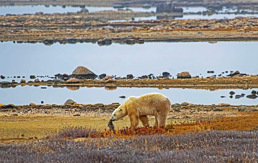 Фотография автора Subir Ghosh