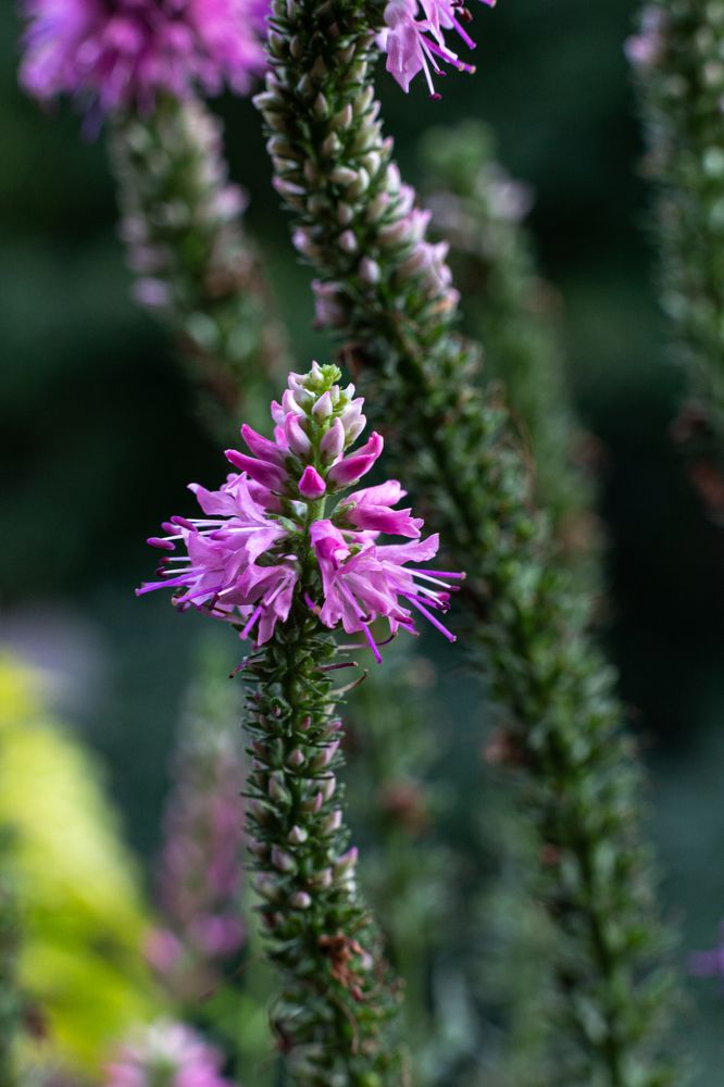 Photograph by Евгений Фонин