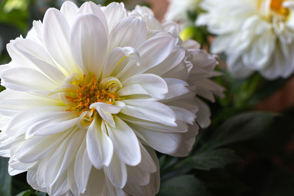 Photograph by Евгений Фонин