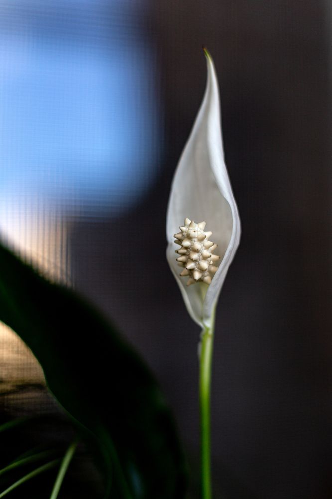 Photograph by Евгений Фонин