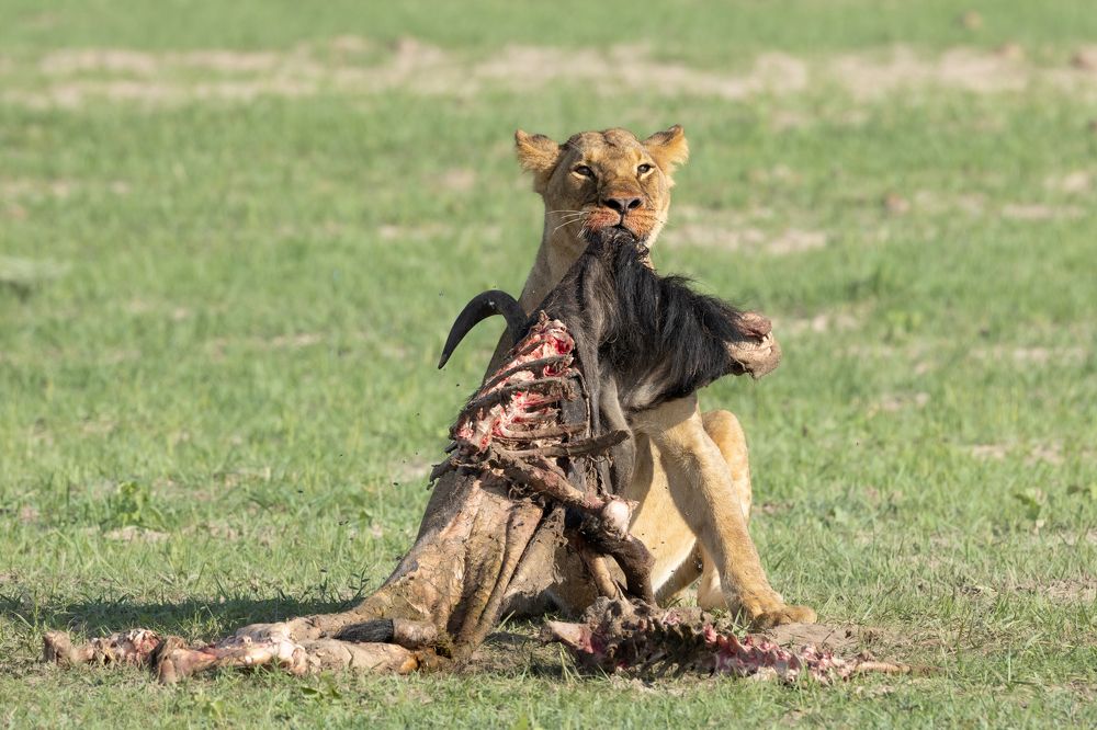 Photograph by Raquel Barao