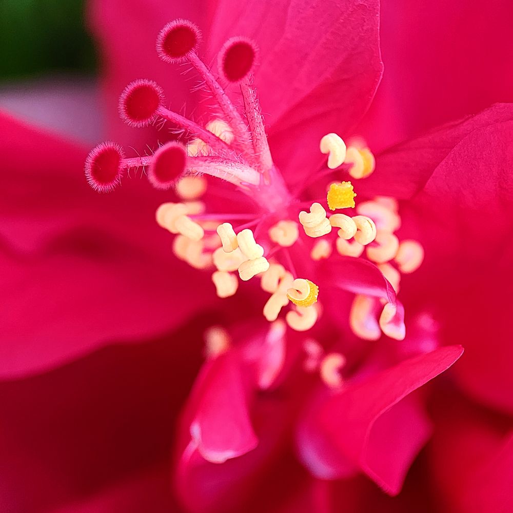 Фотография автора Jeff Cooley