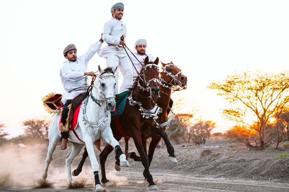 Фотография автора Omar Shebl