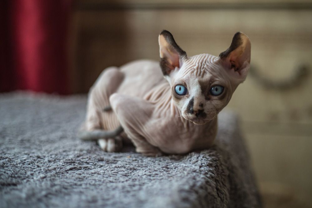 Photograph by Александр