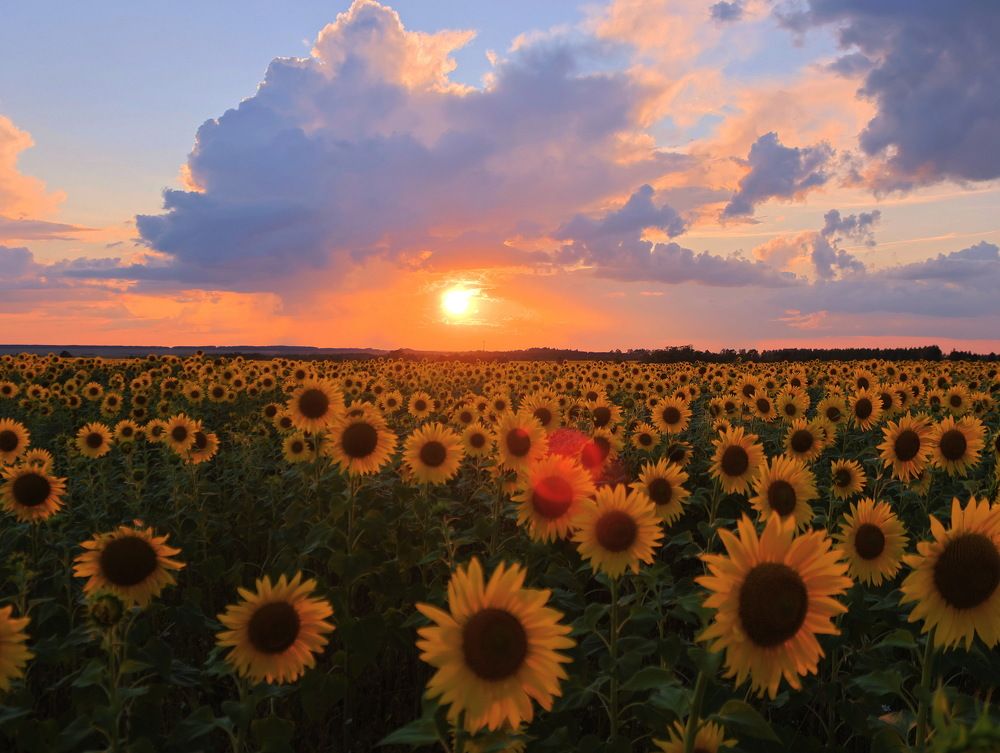Photograph by Серёга Ануфриев