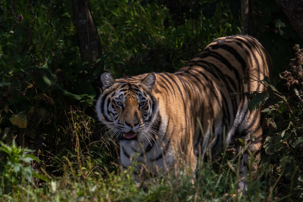 Photograph by Andrey Kul