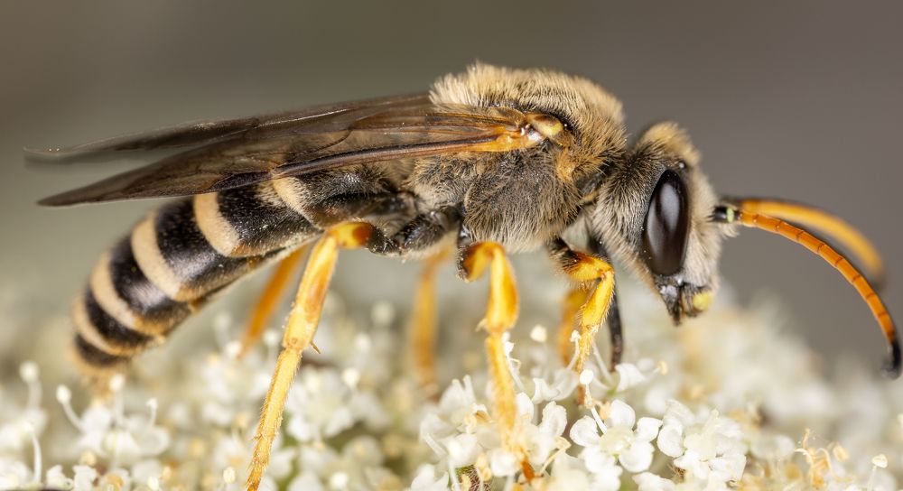 Фотография автора Sercan Özyurt