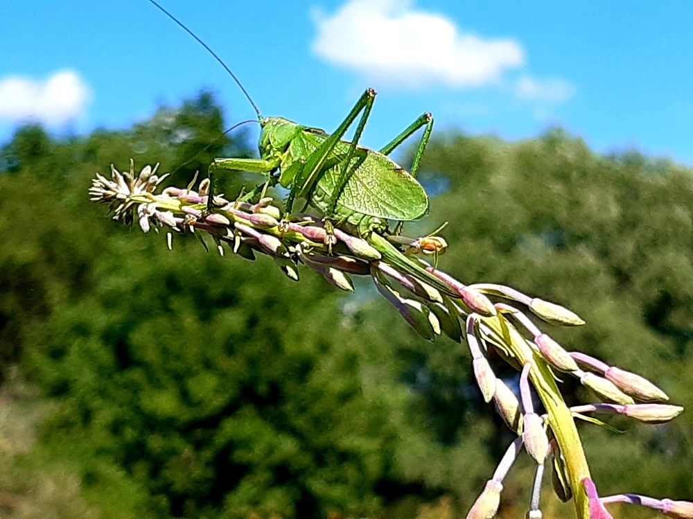 Photograph by Екатерина