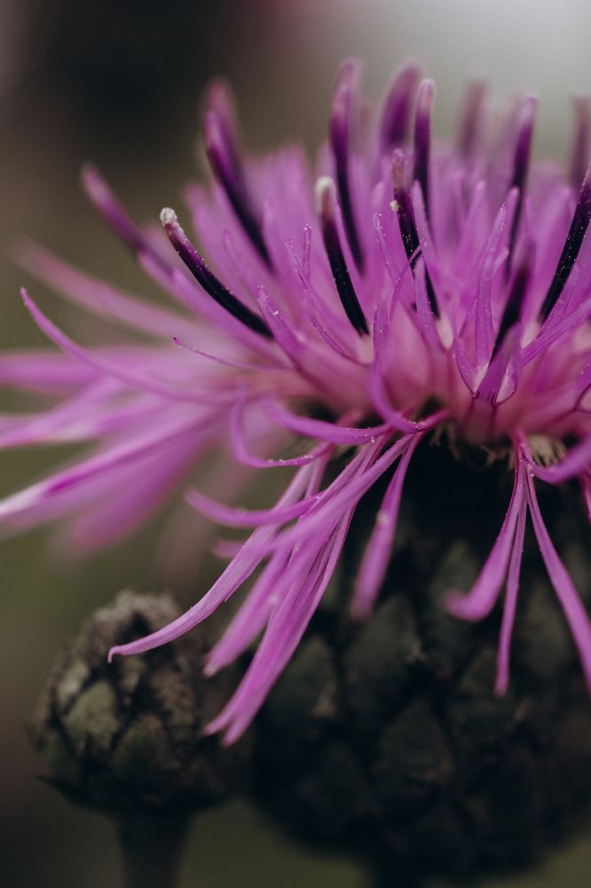 Photograph by Екатерина Овсянникова