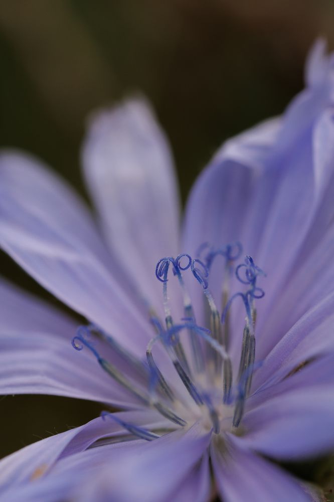 Photograph by Екатерина Овсянникова