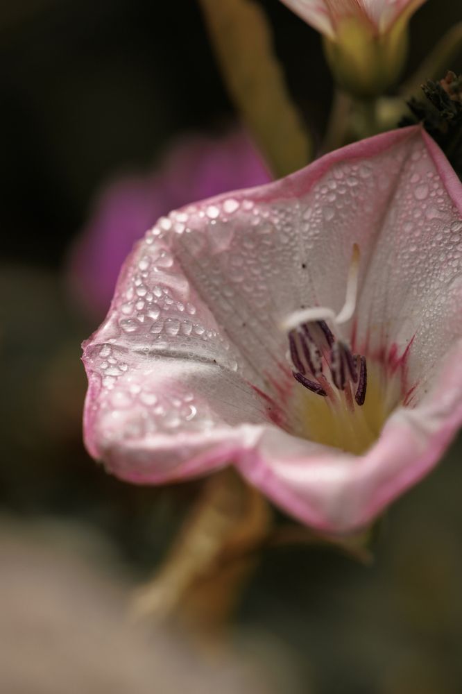 Photograph by Екатерина Овсянникова