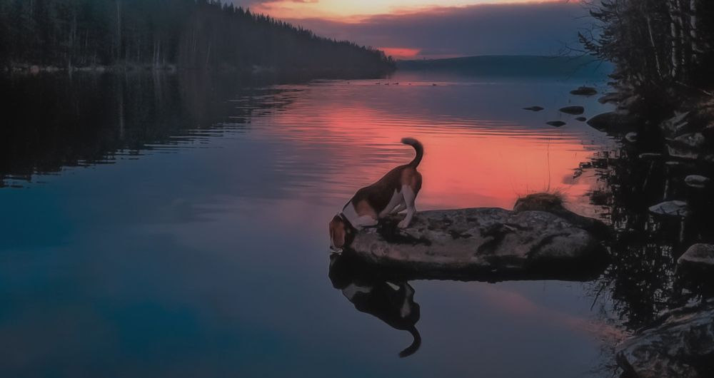 Photograph by Ирина Ахбаш