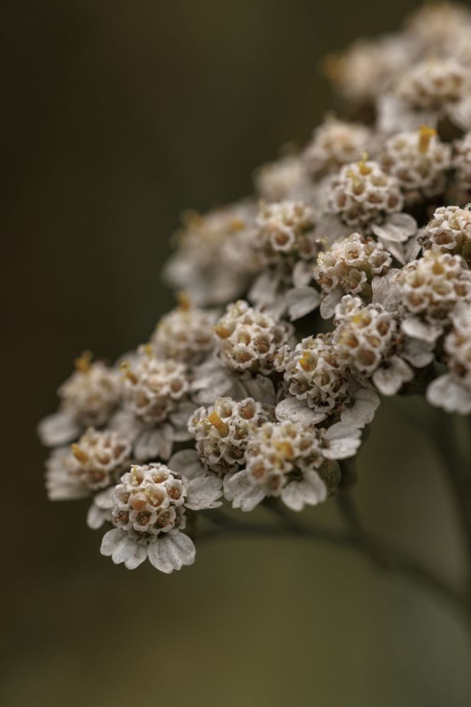 Photograph by Екатерина Овсянникова