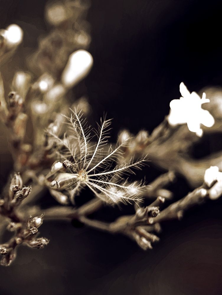 Photograph by Юлия Смирнова