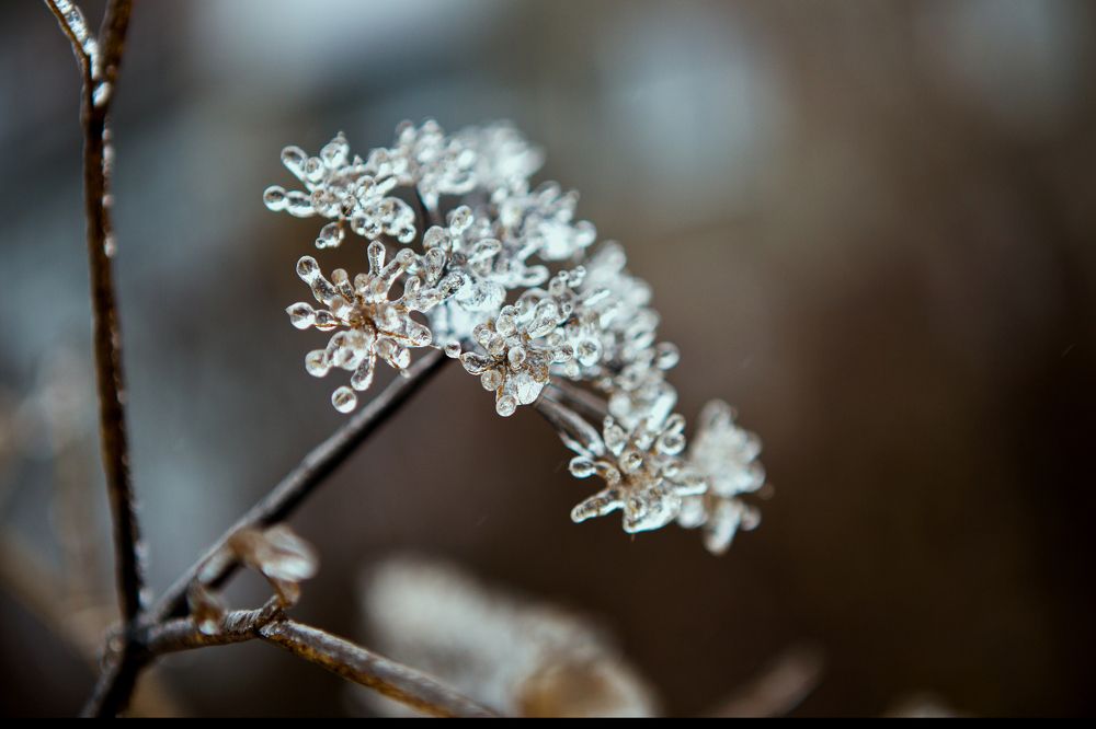 Photograph by Любовь Рощина