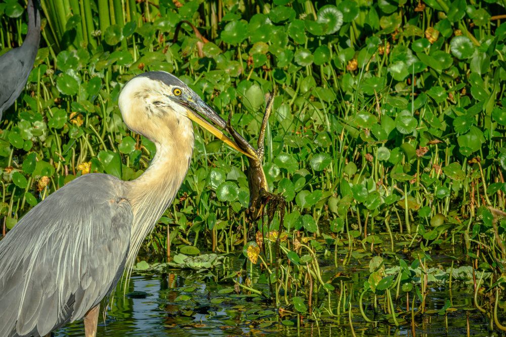 Фотография автора Erik Nelson