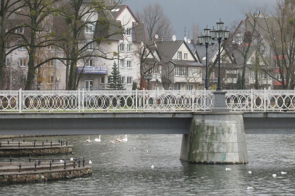 Photograph by Ирина Шведчикова