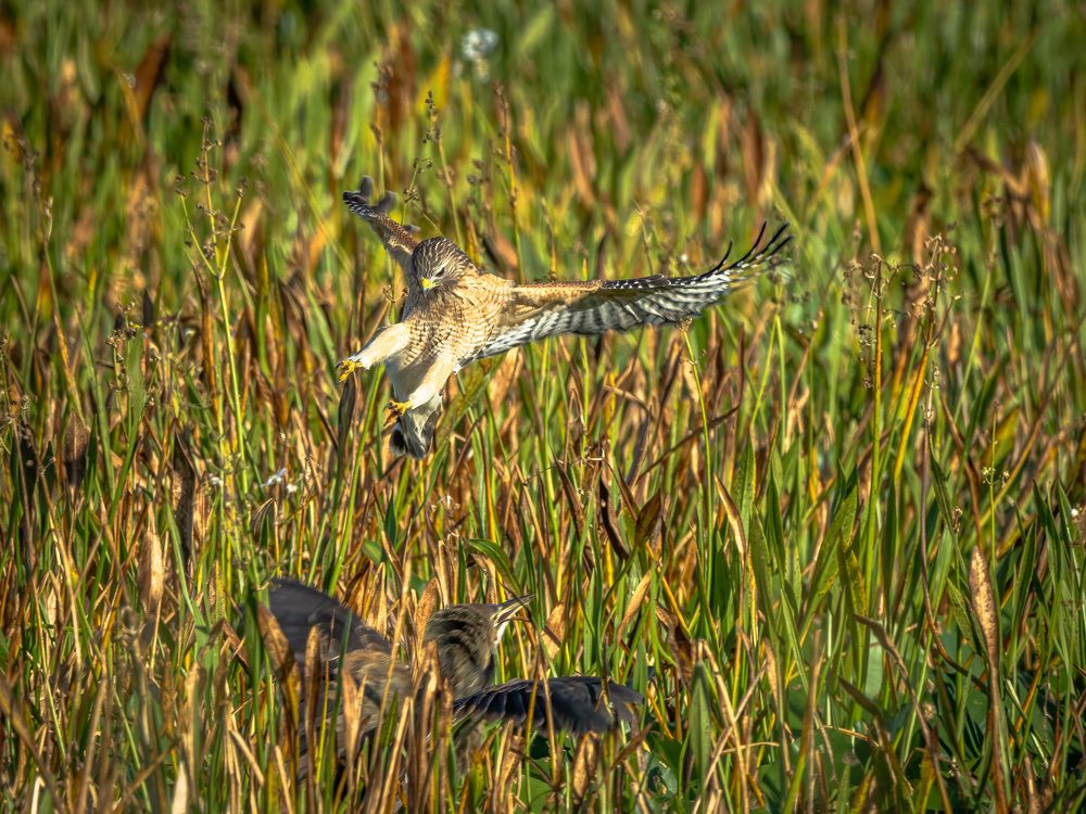 Фотография автора Erik Nelson