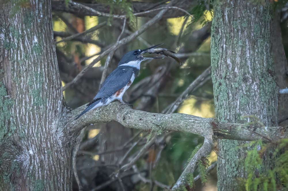 Фотография автора Erik Nelson