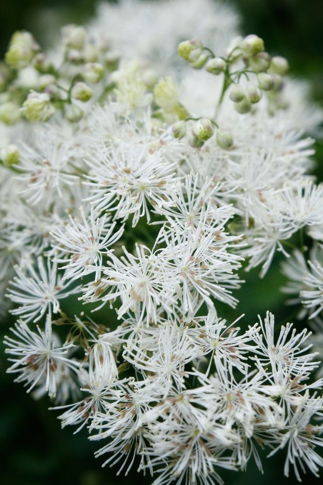 Photograph by Астафьева Анастасия