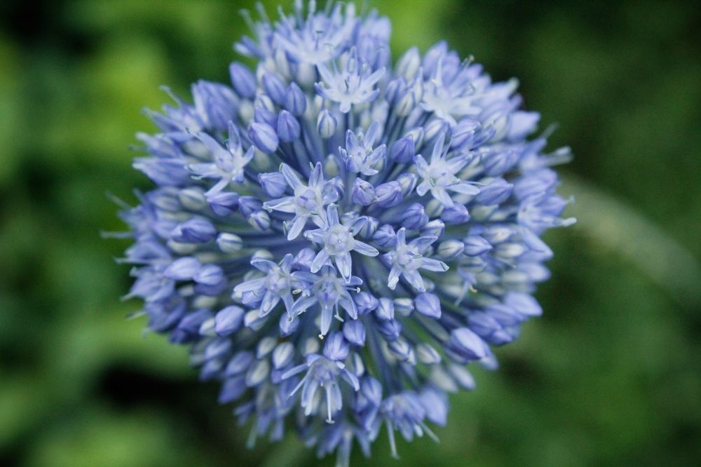 Photograph by Астафьева Анастасия