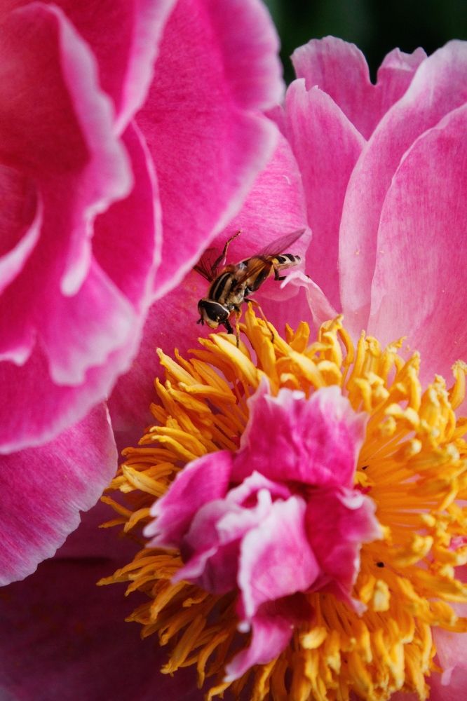 Photograph by Астафьева Анастасия