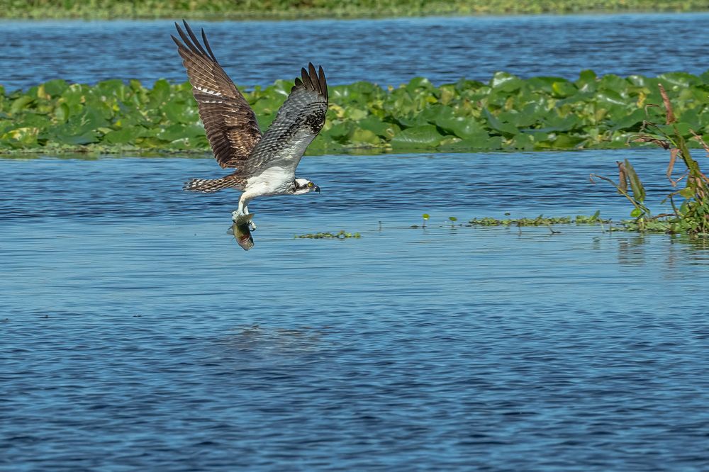 Фотография автора Erik Nelson