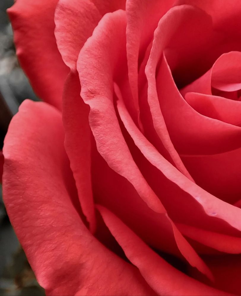 Photograph by Татьяна Радченко