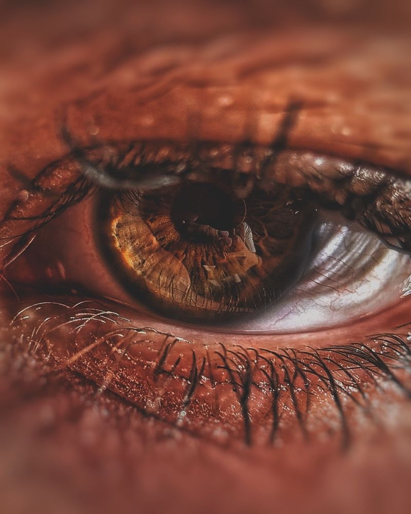 Photograph by Mariia Voloshina