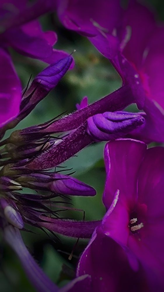 Photograph by Ирина Горбач