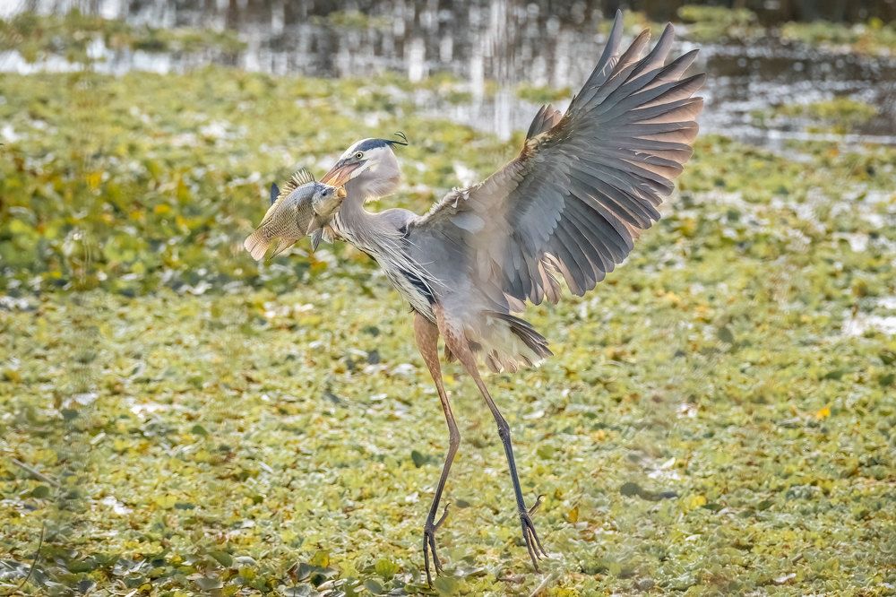 Фотография автора Erik Nelson