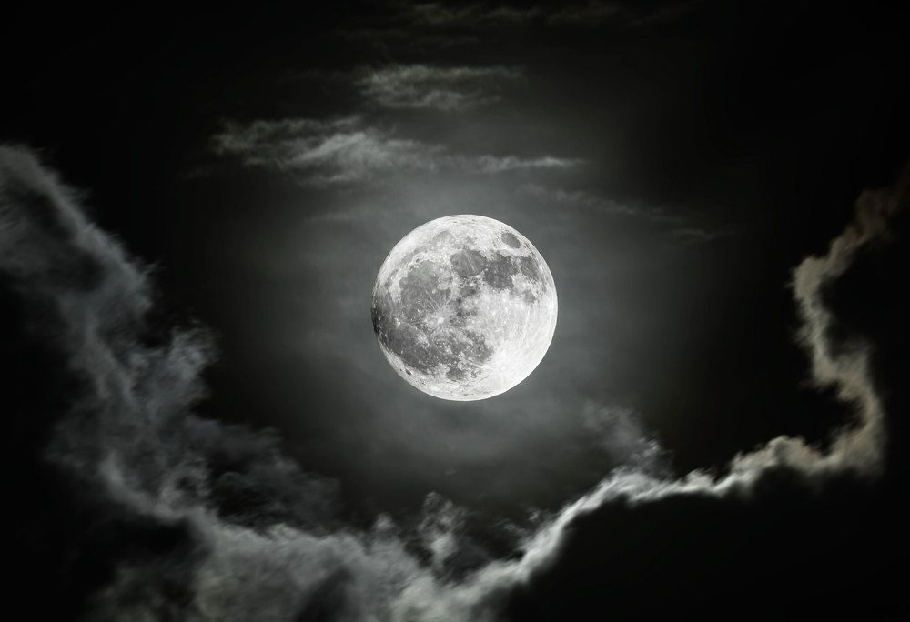 Фотография автора Erik Nelson